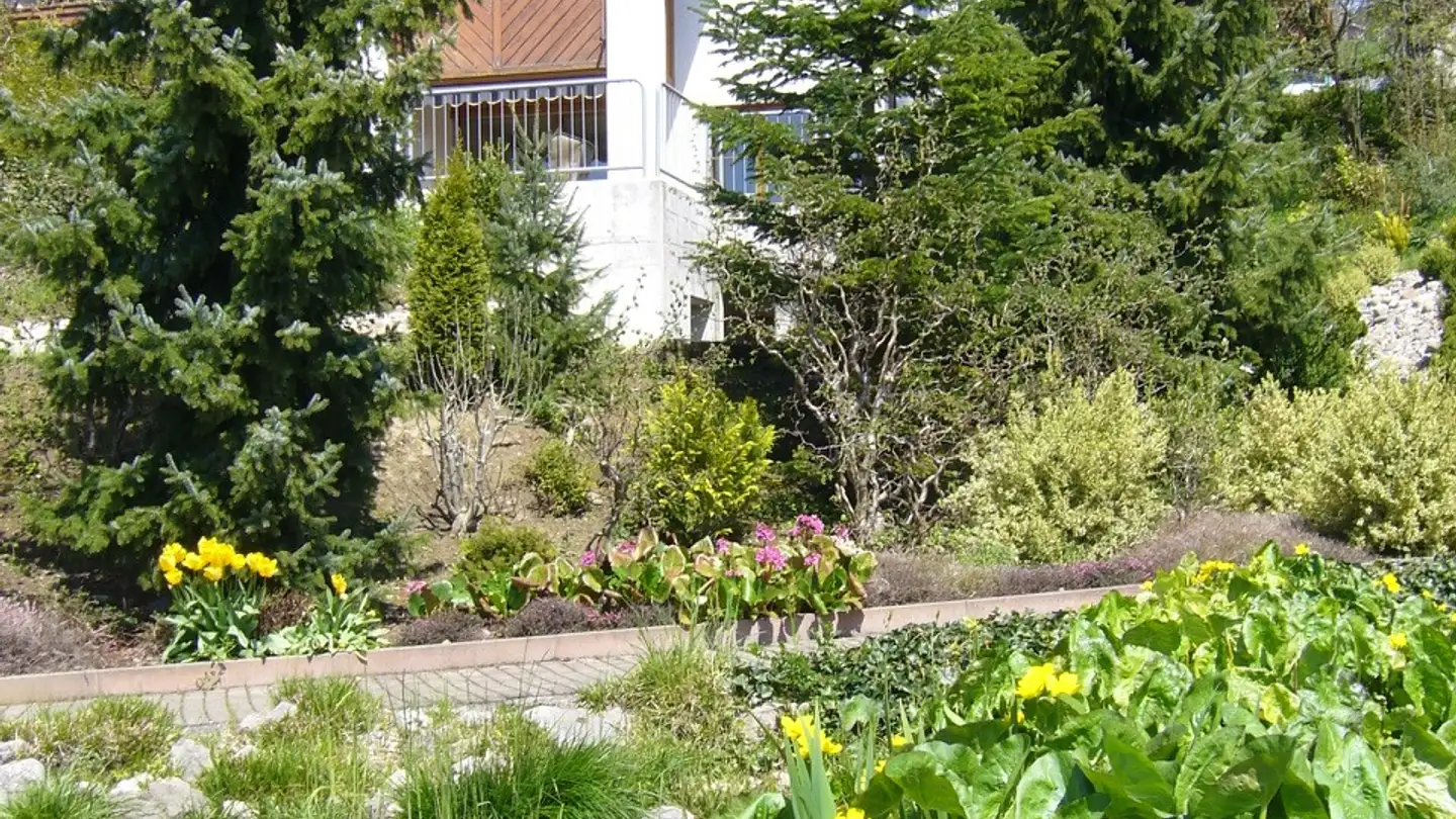 Attique à louer - Kirchstrasse 27, 8104 Weiningen ZH