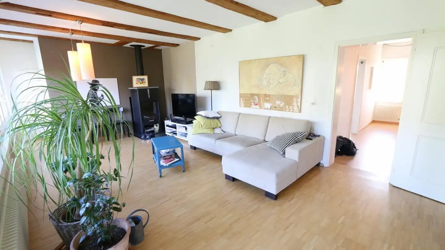 Appartamento in affitto - Spiegelgutstrasse 27, 8200 Schaffhausen - Photo 2