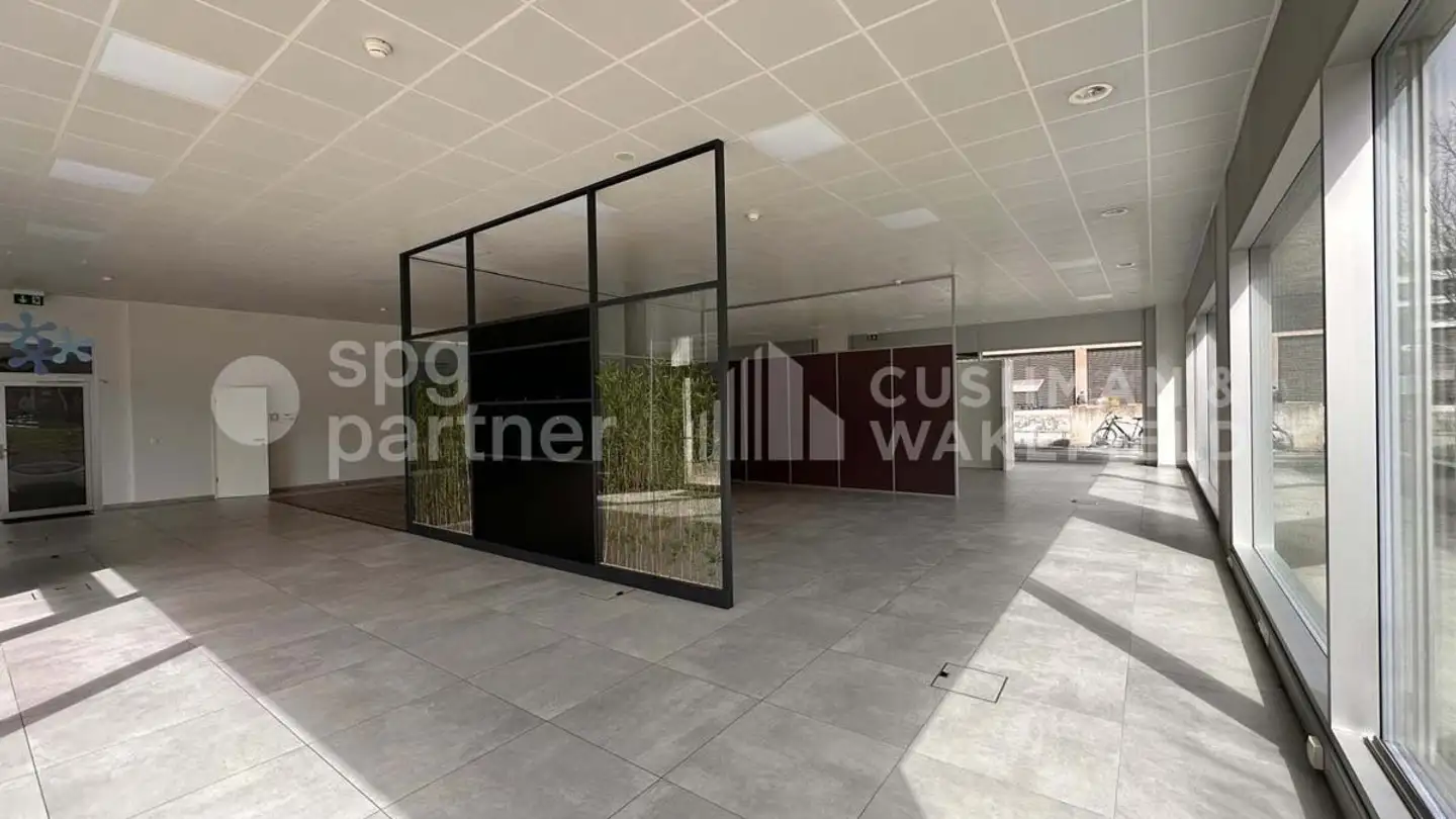 Office space for rent - Chemin Du Pré-Fleuri 5, 1228 Plan-les-Ouates - Photo 2