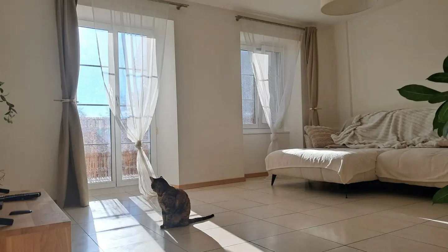 Appartamento in affitto - Rue Du Temple, 1304 Cossonay-Ville - Foto 2