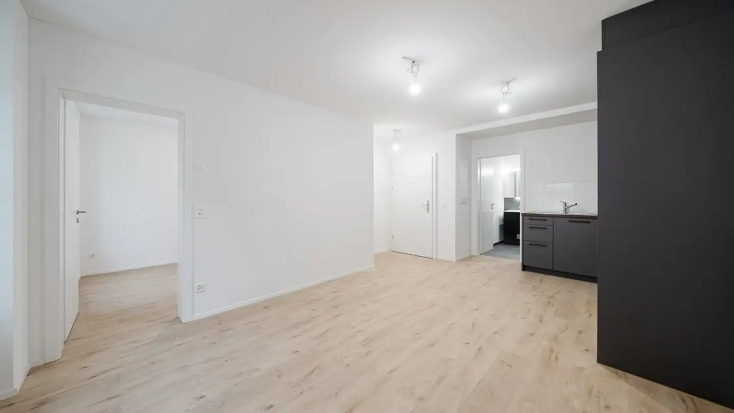 Appartamento in affitto - Schlattingerstrasse 9, 8253 Diessenhofen - Foto 2