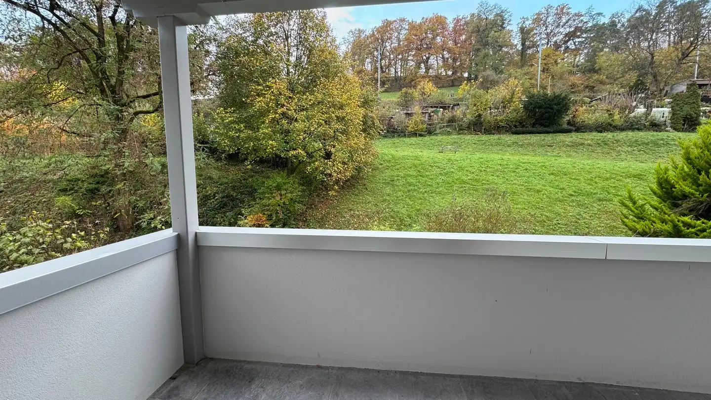 Appartamento in affitto - Sonnenhofstrasse, 8952 Schlieren - Foto 3