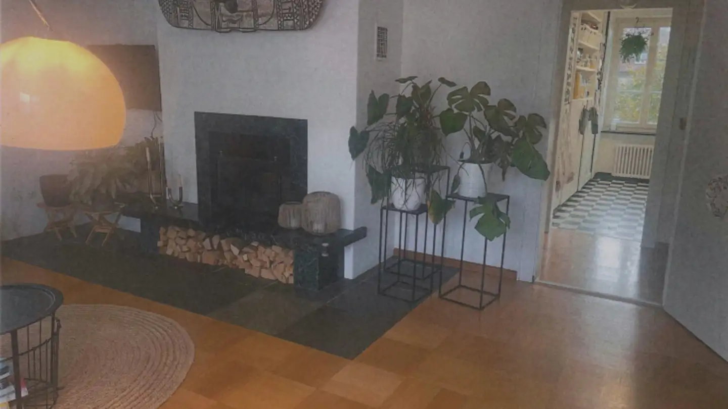 Duplex in affitto - Habsburgstrasse 40, 8400 Winterthur - Photo 4