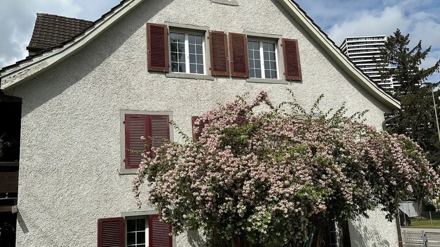 Wohnung mieten - Zürichstrasse 95, 8600 Dübendorf - Foto 2