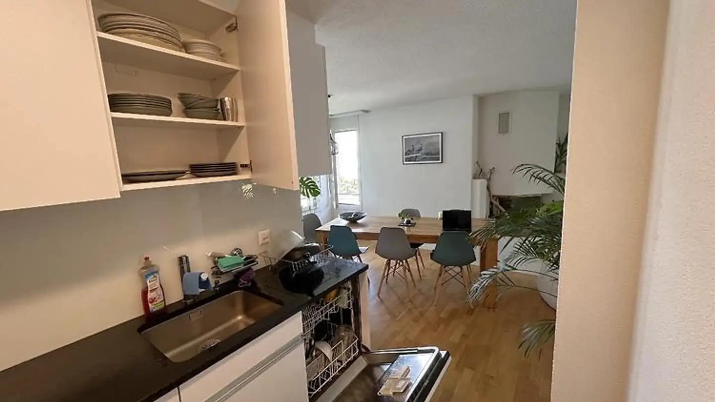 Möblierte Wohnung mieten - 8820 Wädenswil - Foto 4