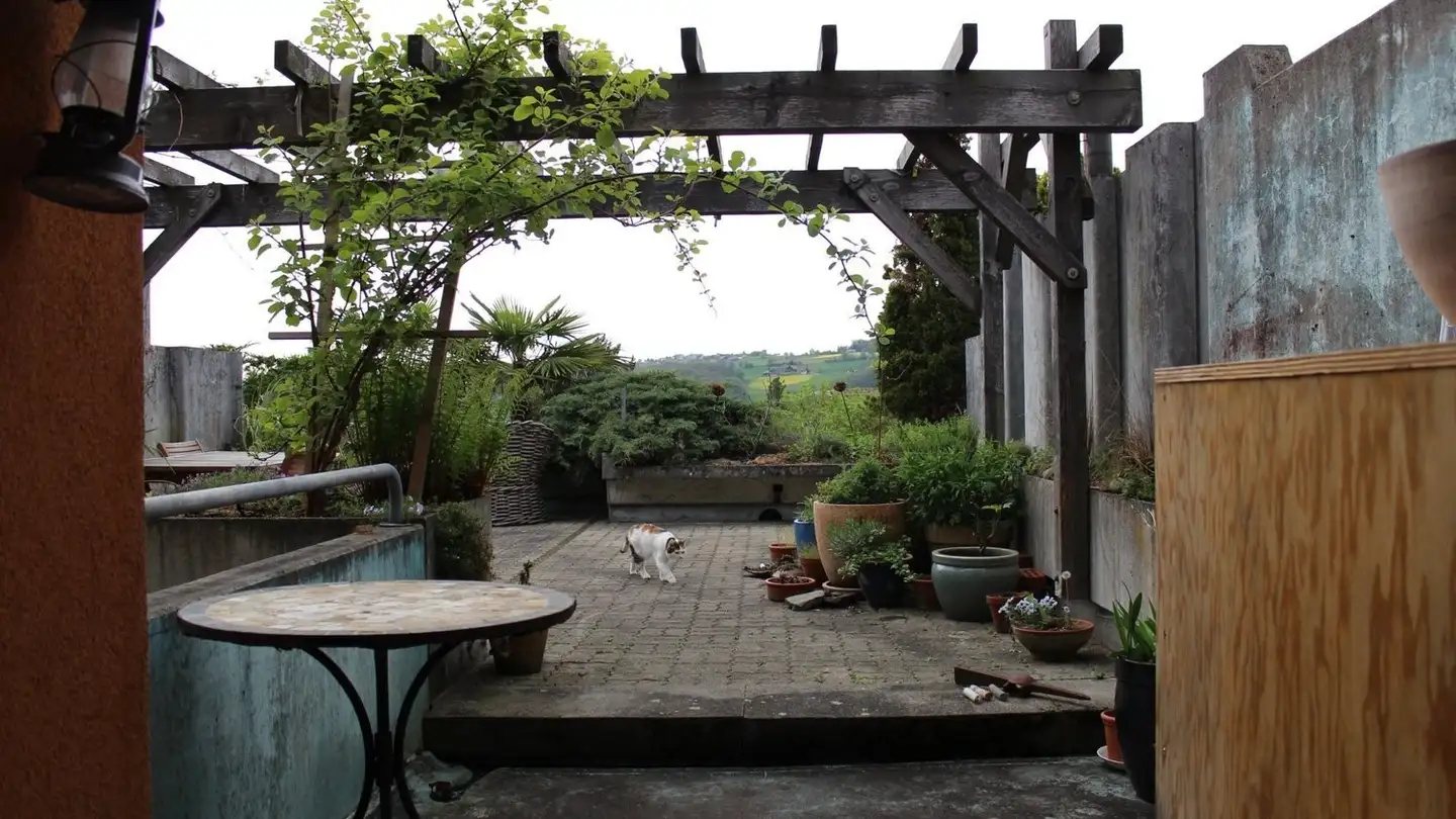 Stanza singola in affitto - Bruggenmattweg 76, 8906 Bonstetten - Photo 3