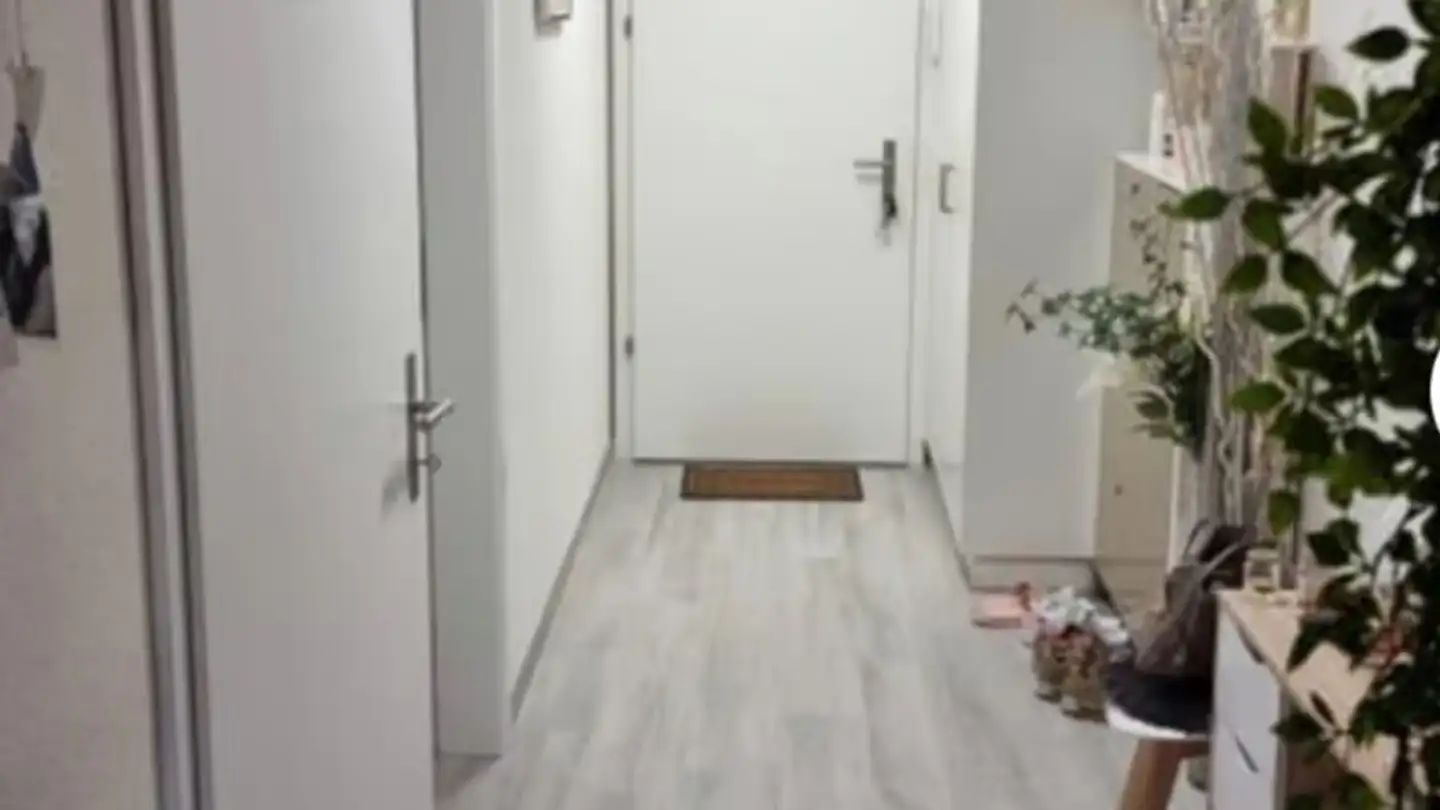Appartamento in affitto - Route De Mollie-Margot 5a, 1072 Forel (Lavaux) - Foto 4
