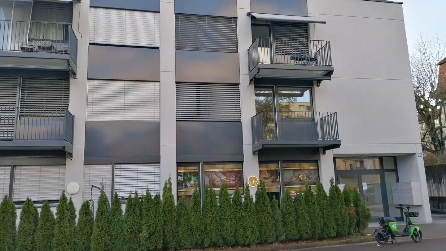 Appartement à louer - Dachslernstrasse 85a, 8048 Zürich