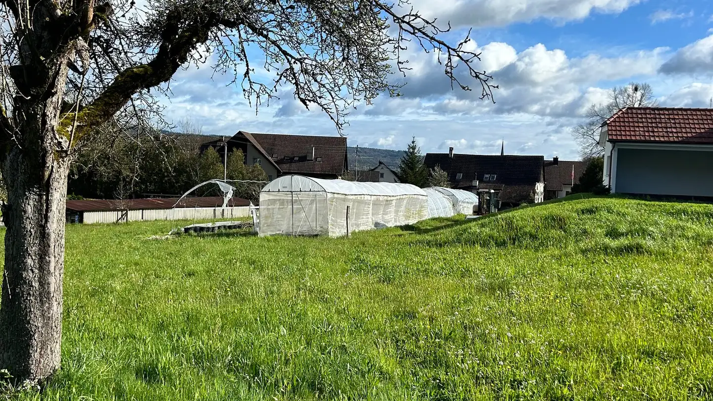 Bauland kaufen - Chälenstrasse 35, 8187 Weiach - Foto 2