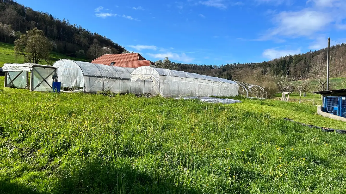Bauland kaufen - Chälenstrasse 35, 8187 Weiach - Foto 3