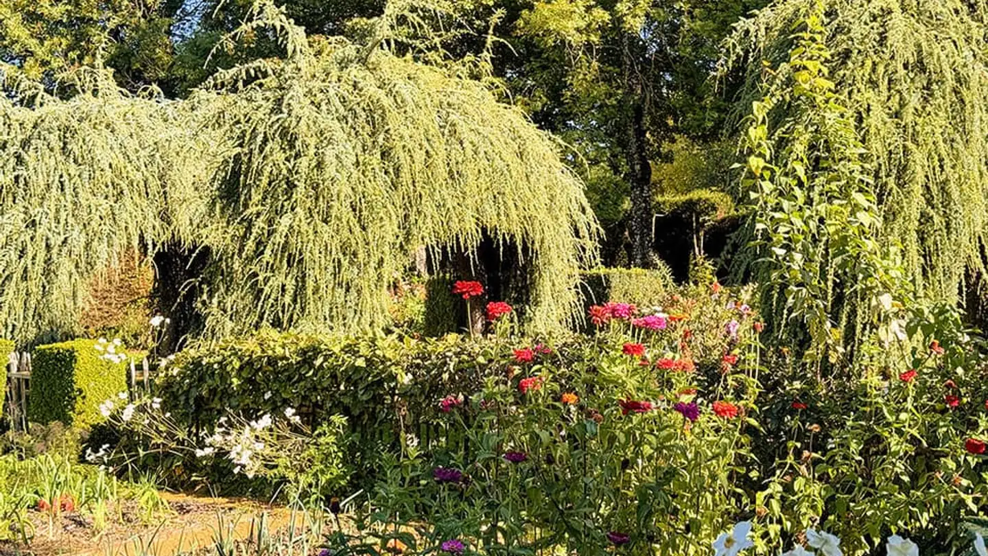 Single house for sale - 2000 Neuchâtel