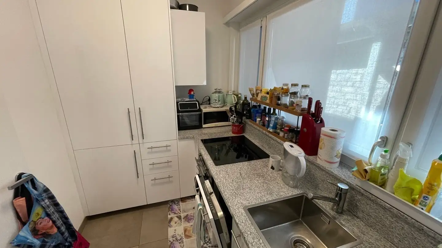 Appartamento in affitto - Via Riviera, 6976 Castagnola - Photo 4