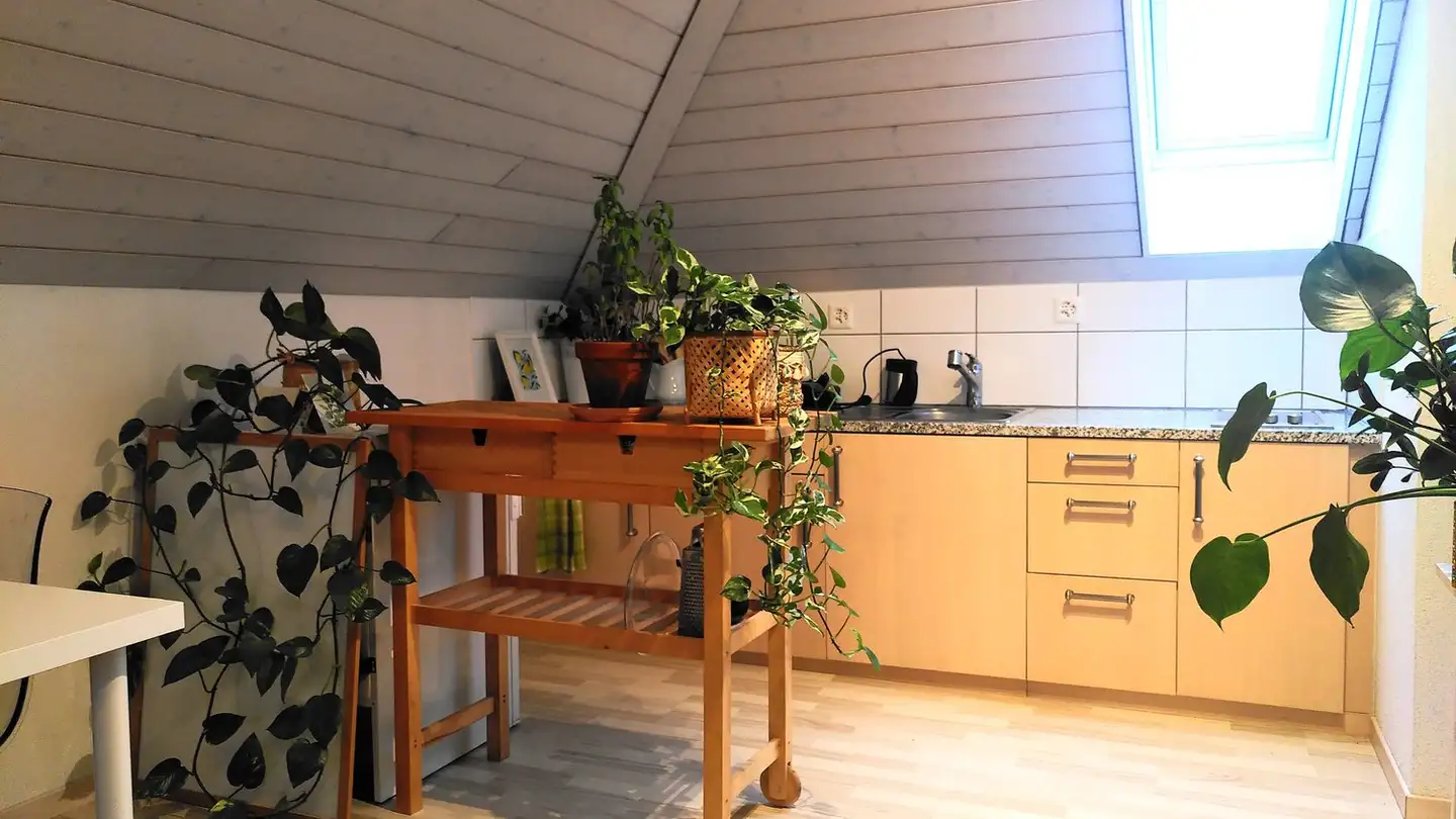 Wohnung mieten - Bühlstrasse 53, 3012 Bern