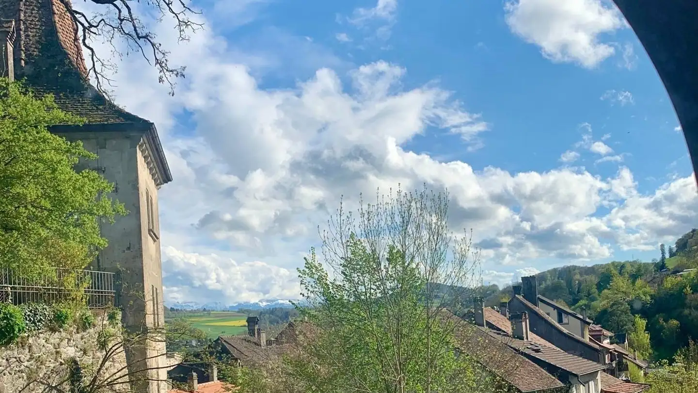 Einfamilienhaus kaufen - Rue Du Bourg 10, 1510 Moudon
