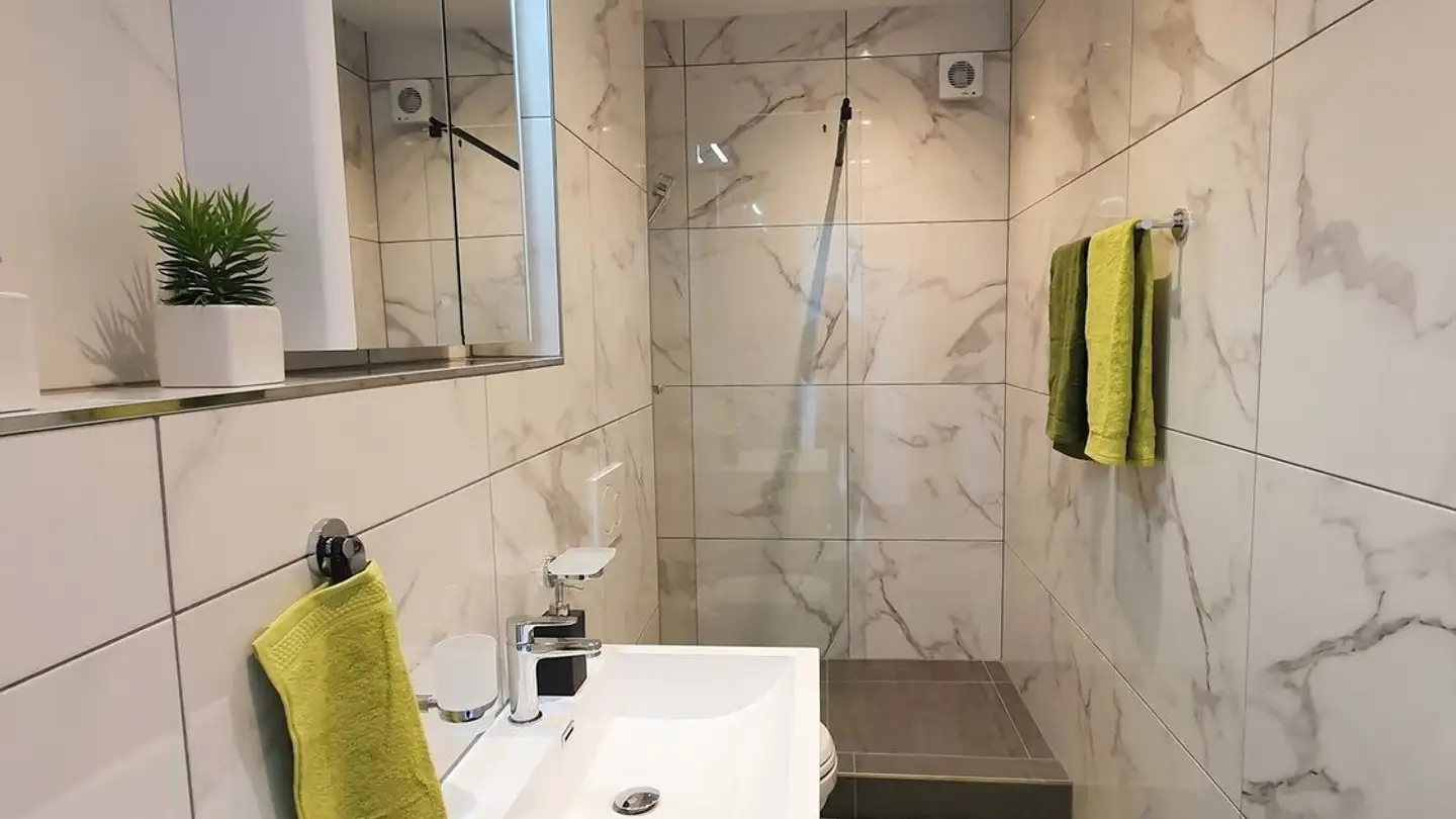 Attico in affitto - Schaffhauserstrasse 1, 8253 Diessenhofen - Foto 4