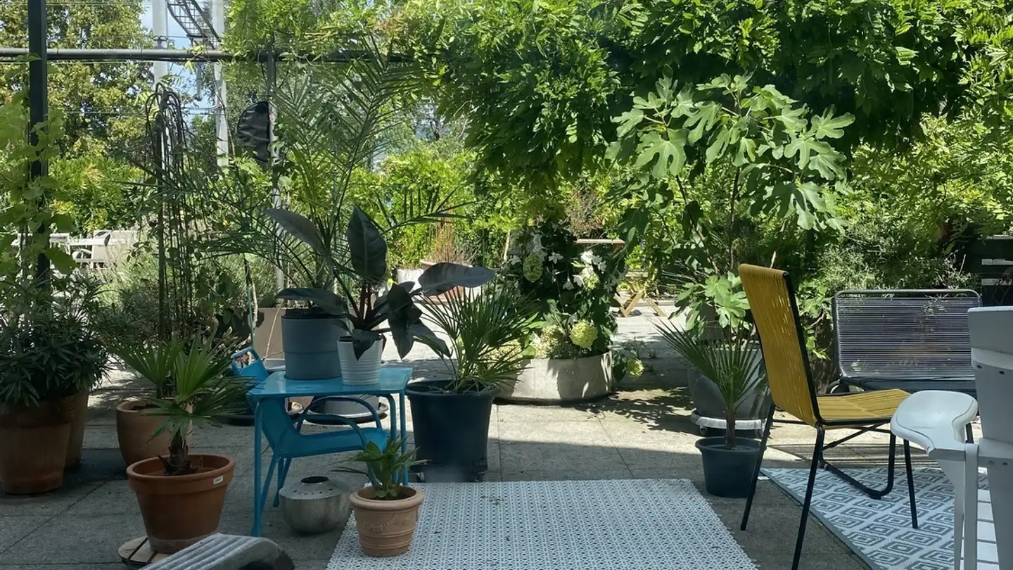 Wohnung mieten - 8820 Wädenswil - Foto 2