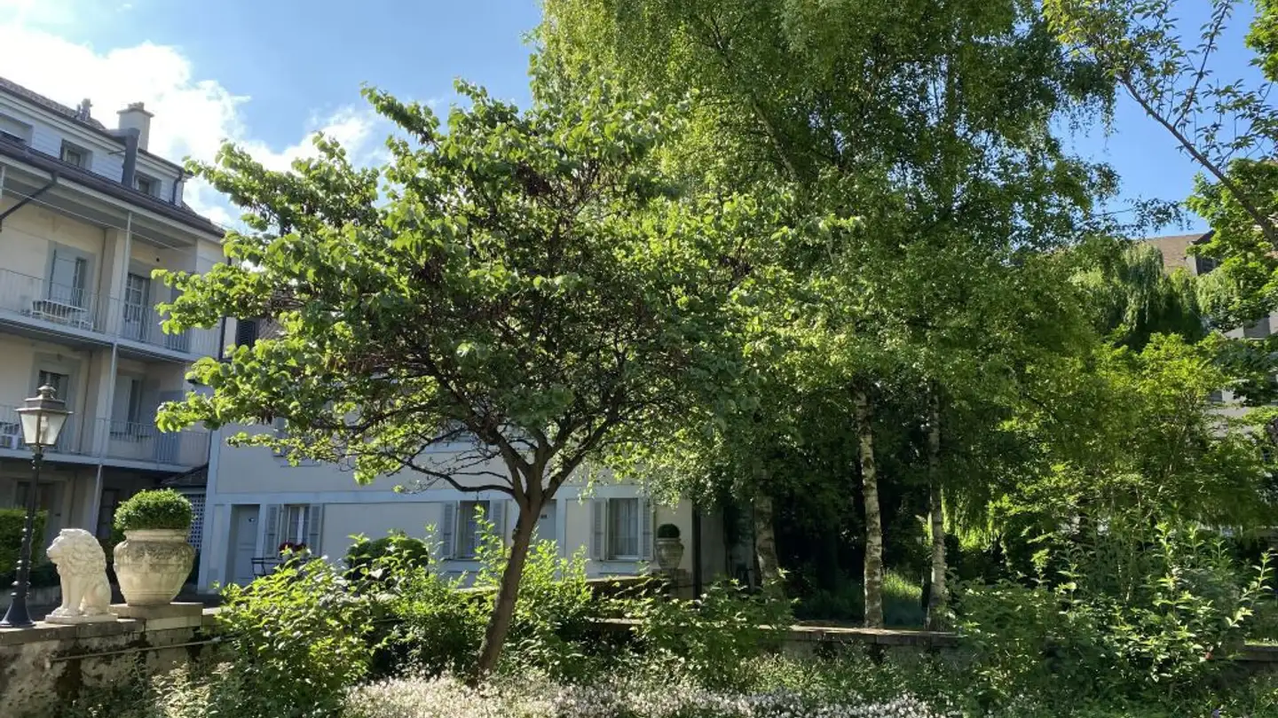 Appartamento in affitto - 1227 Carouge GE