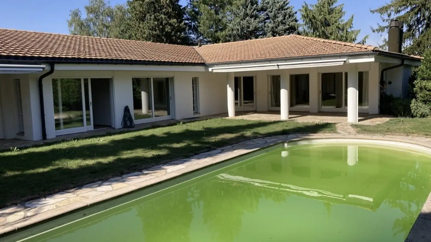 Single room for rent - 8800 Thalwil - Photo 2