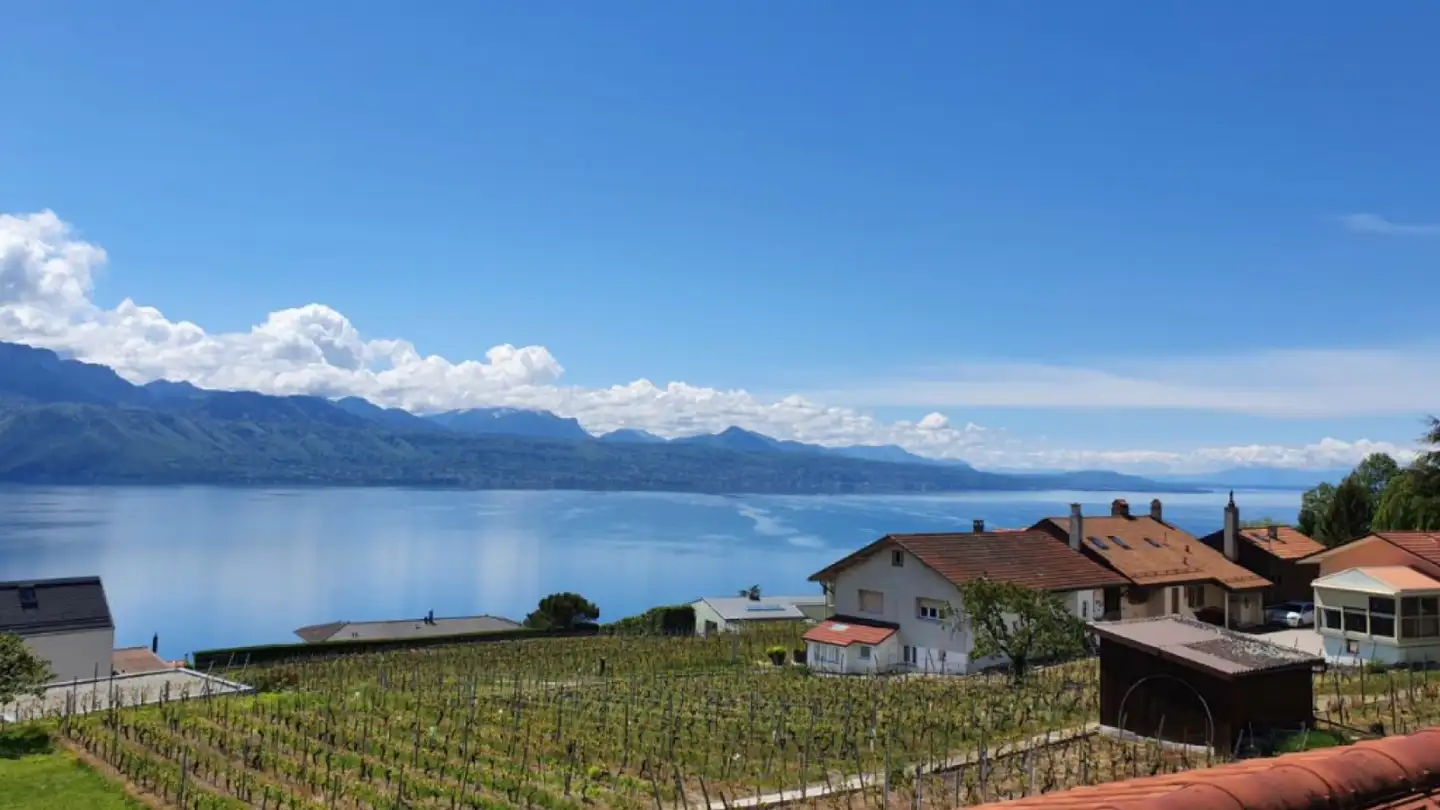 Attico in vendita - 1091 Grandvaux