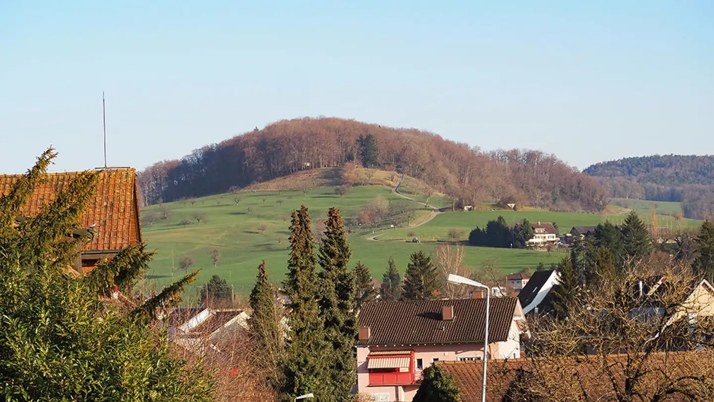 Einfamilienhaus kaufen - 4460 Gelterkinden
