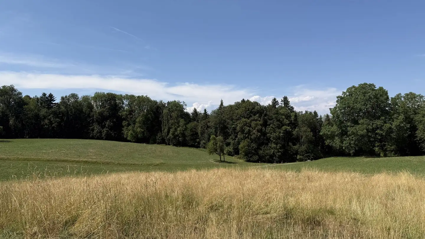 Doppelhaushälfte kaufen - Hopfengasse 4, 8514 Amlikon-Bissegg - Foto 3