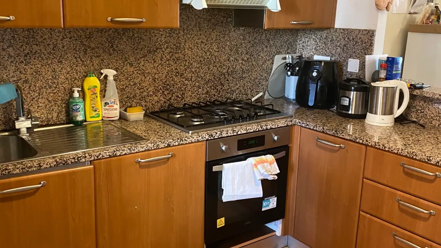 Casa singola in affitto - 6900 Lugano - Foto 3