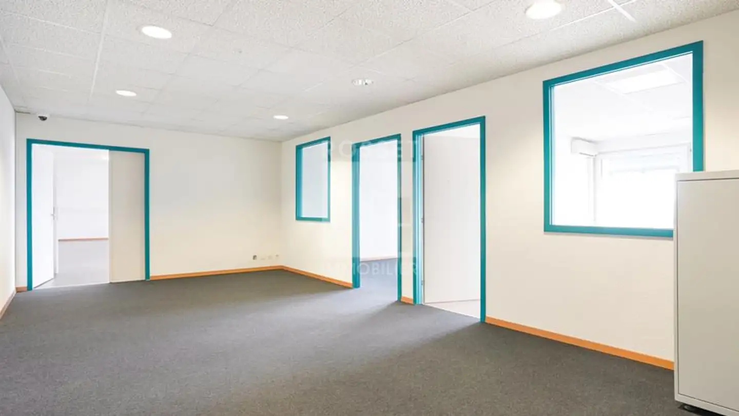 Edificio ad uso misto in affitto - Chemin Du Champ-Des-Filles 19, 1228 Plan-les-Ouates