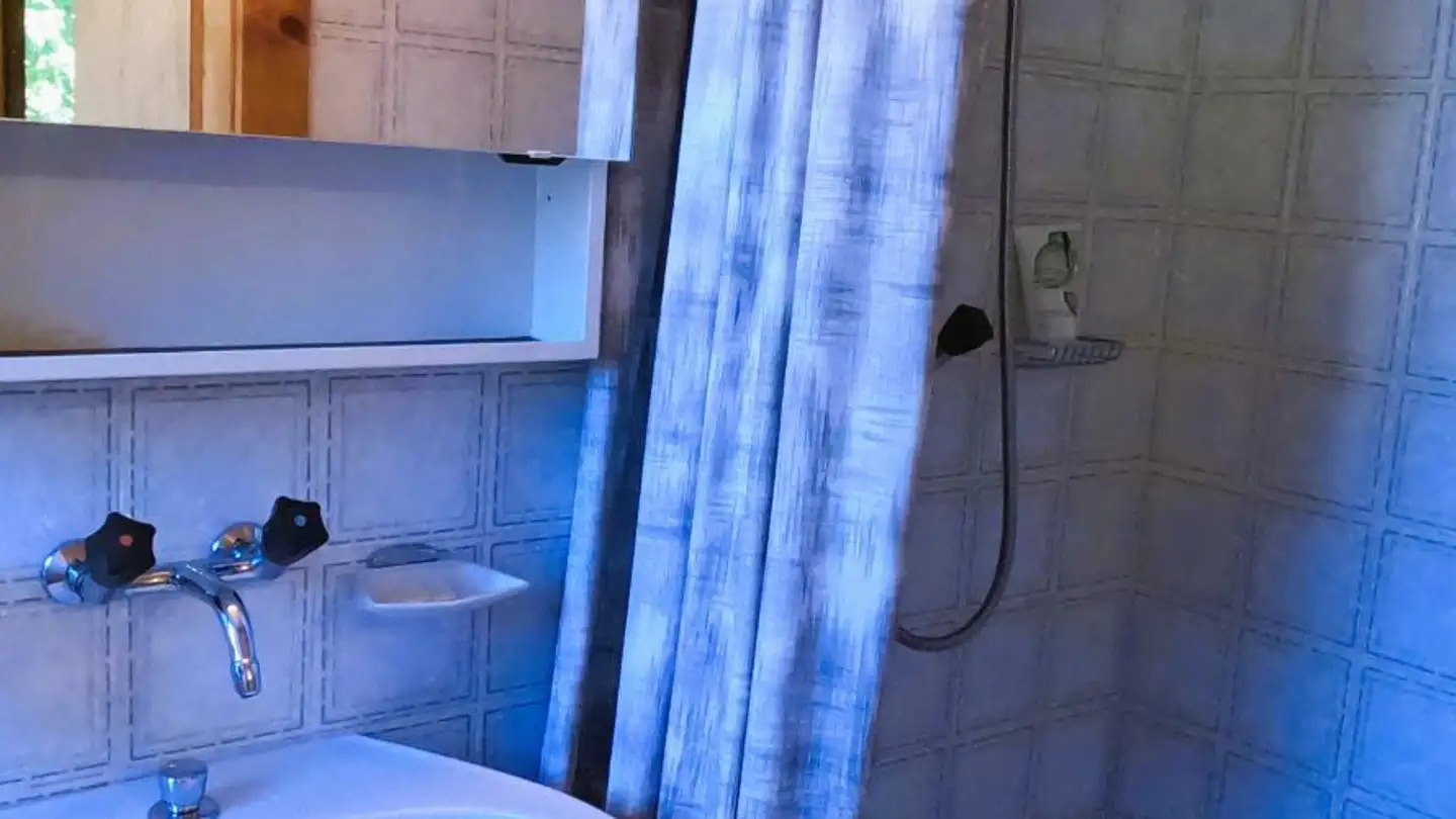 Studio for sale - Rue du Télécabine 10, 3961 Grimentz - Photo 3