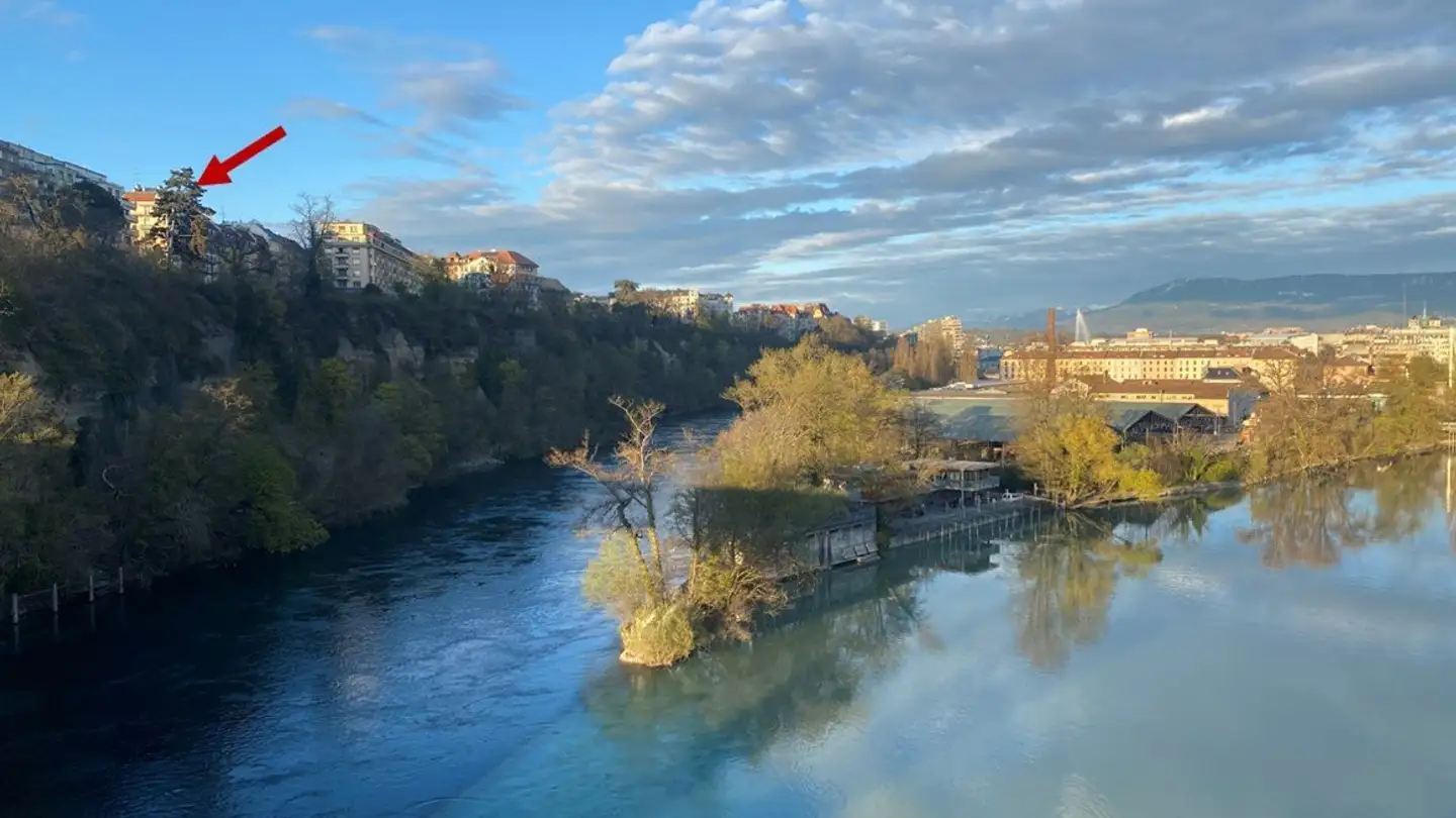 Appartement à vendre - 1203 Genève
