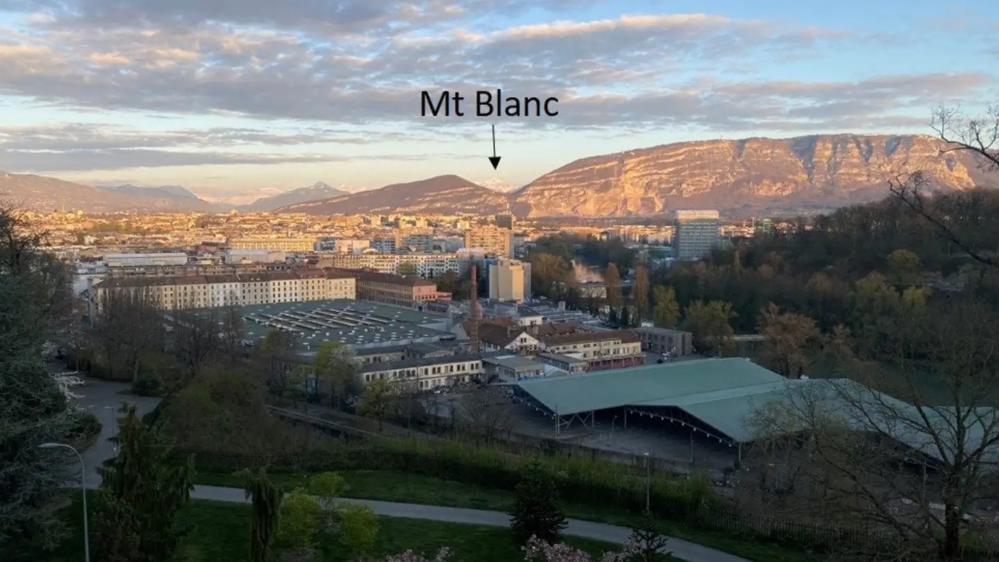 Appartement à vendre - 1203 Genève - Photo 4