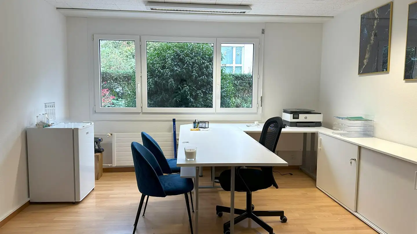 Office space for rent - Dürrenmattweg 80, 4123 Allschwil - Photo 2