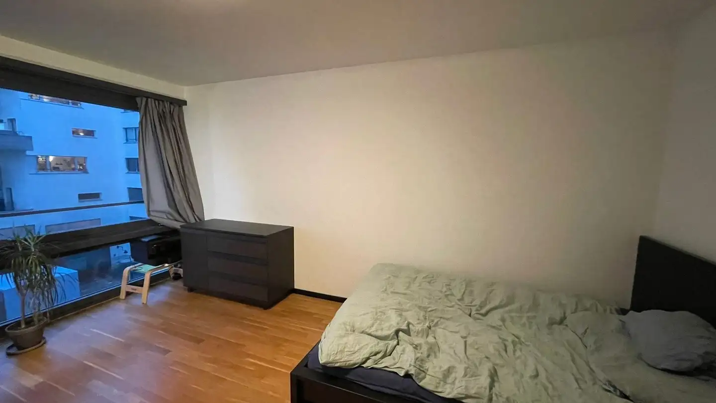 Chambre à louer - Flüelastrasse 25, 8047 Zürich - Photo 2