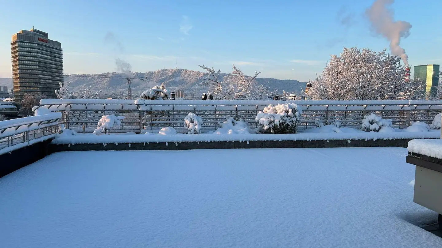Wohnung mieten - Imfeldsteig, 8037 Zürich - Foto 3