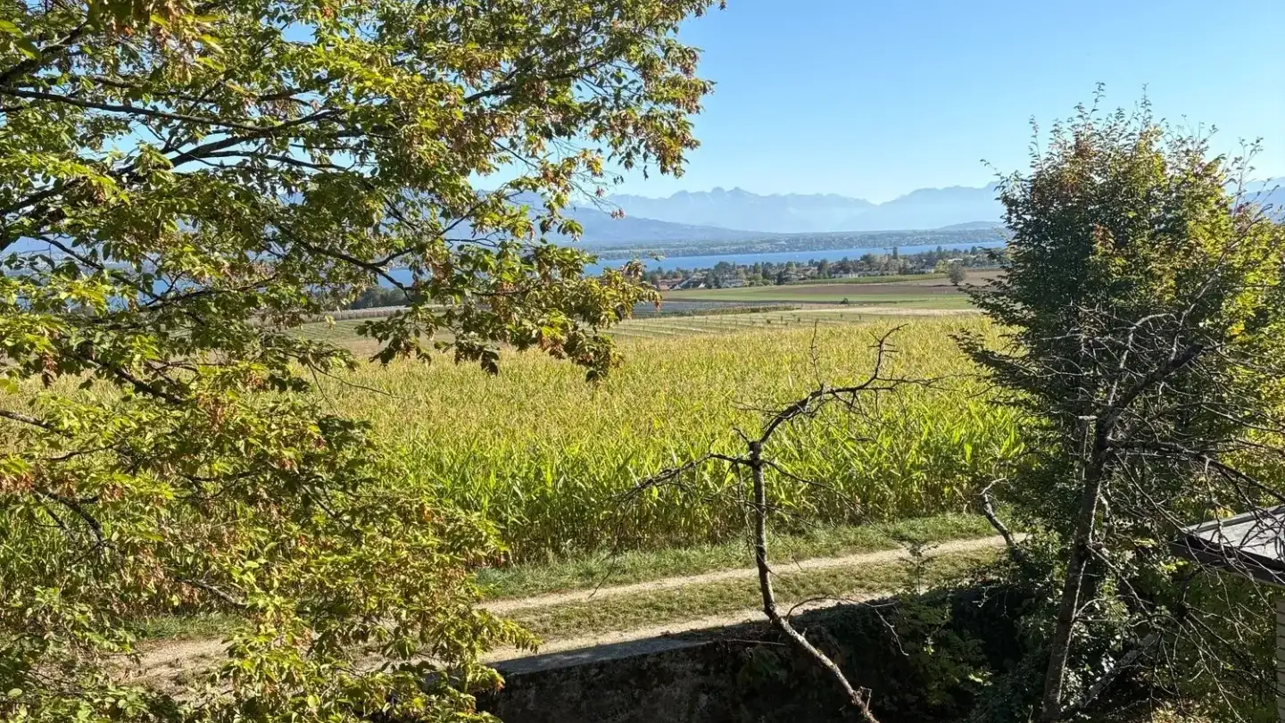 Semi-detached house for rent - Chemin Chenevière 8, 1279 Bogis-Bossey