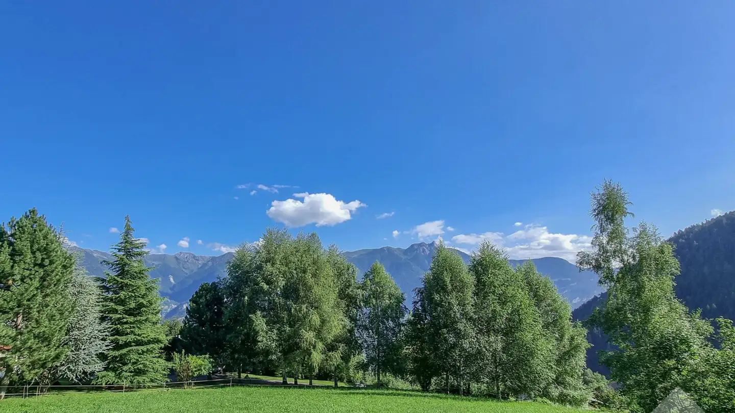 Chalet in vendita - 1911 Ovronnaz - Photo 2