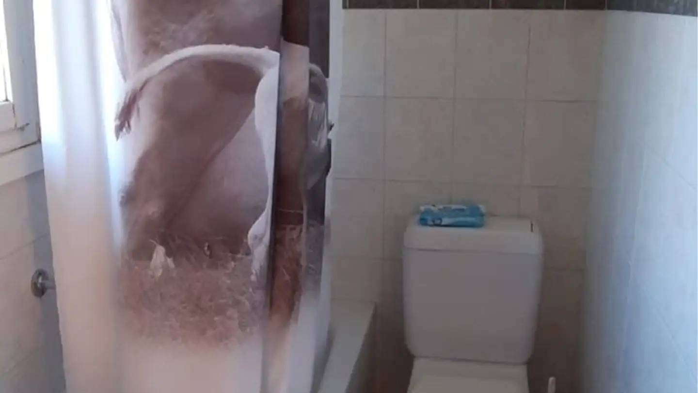 Appartamento in affitto - Alpenweg 20, 3110 Münsingen - Photo 4