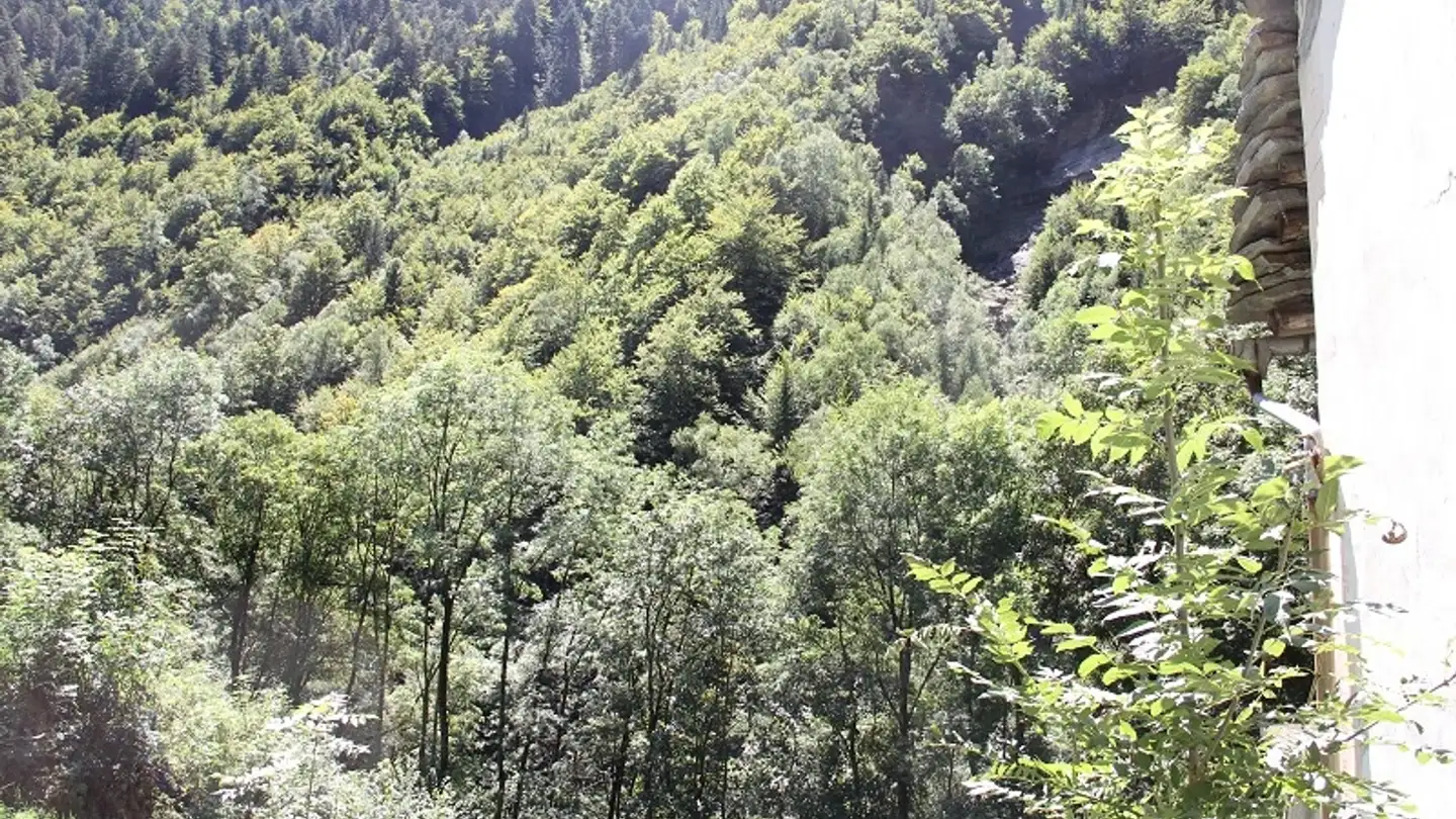 House for sale - 6664 Vergeletto - Photo 3