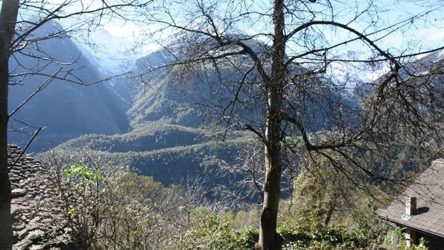 Casa bifamiliare in vendita - 6748 Anzonico - Foto 2