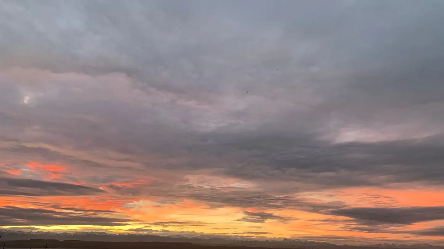 Appartamento in affitto - Chemin des Liserons, 2000 Neuchâtel