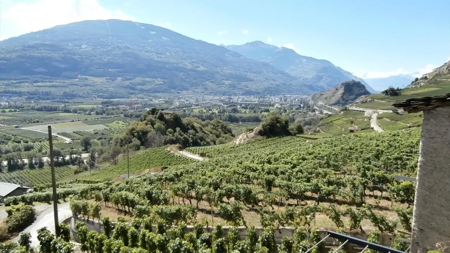 Apartment for sale - Route De Molignon 64, 1950 Sion