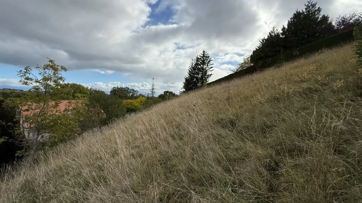 Constructible plot for sale - 1261 Le Vaud - Photo 3