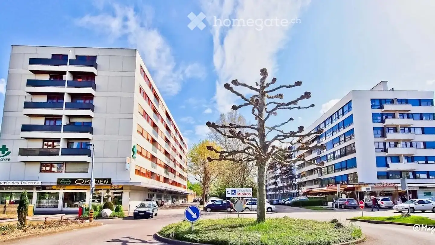 Wohnung mieten - Chemin Des Palettes, 1212 Grand-Lancy