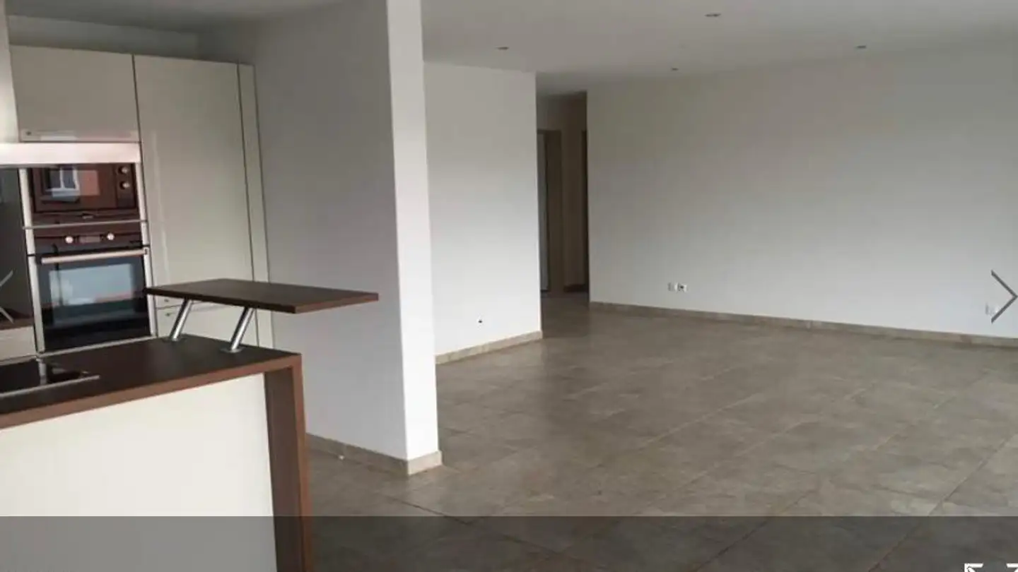 Studio in affitto - Tramstrasse 1, 9444 Diepoldsau - Photo 3