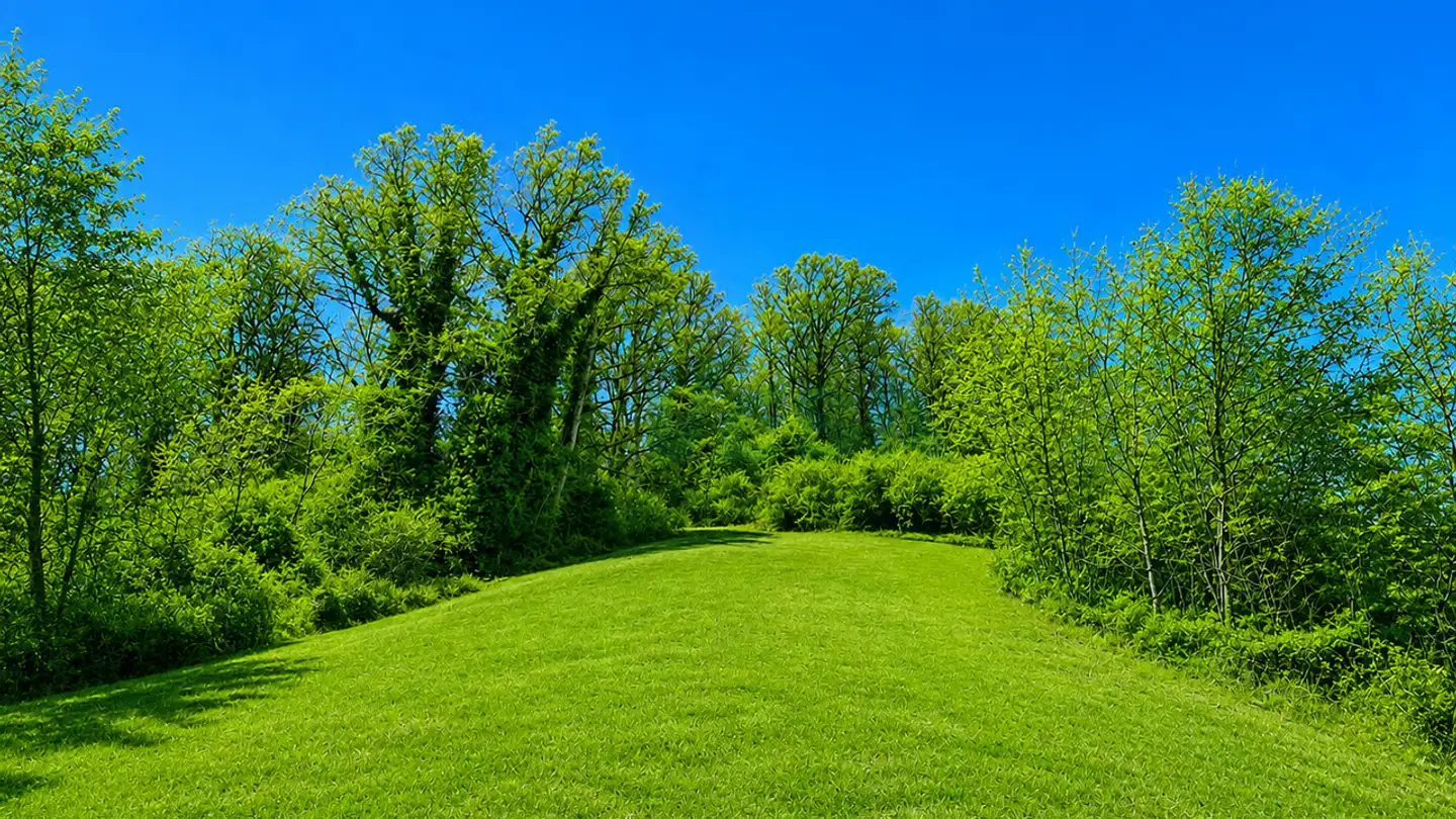Terrain constructible à vendre - 6935 Bosco Luganese - Photo 4