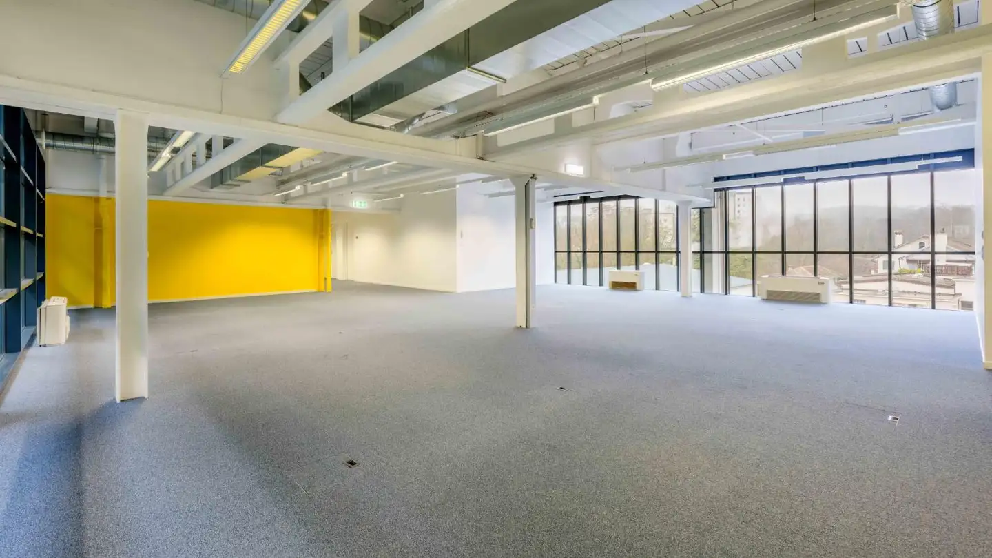 Commerciale in affitto - Chemin De La Papeterie 1, 1290 Versoix - Foto 4