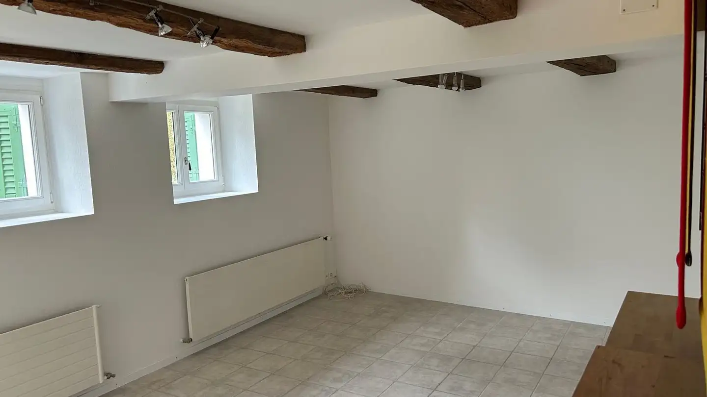 Sala hobby in affitto - Waserstrasse 22, 8053 Zürich - Foto 3