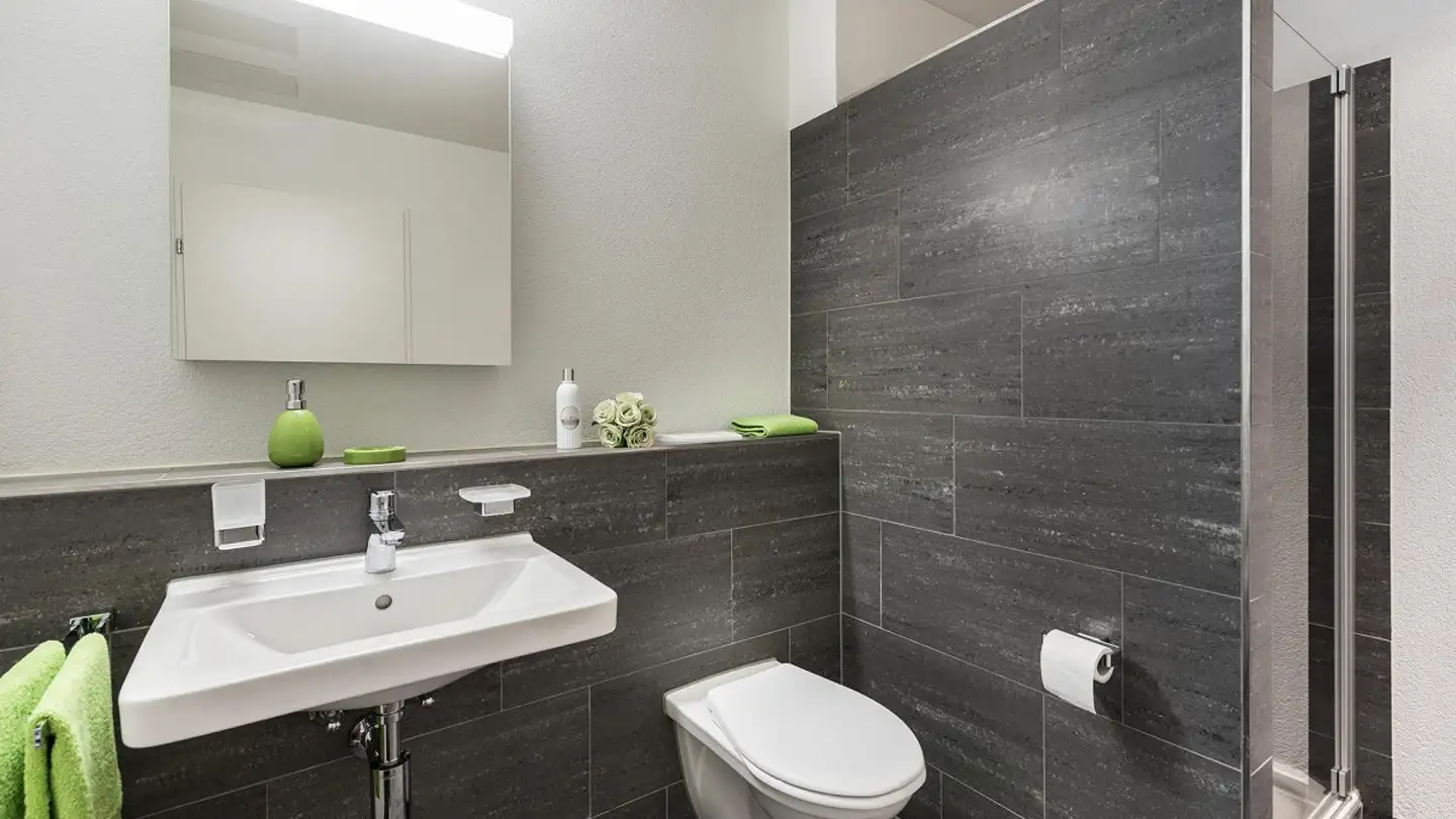 Wohnung mieten - Schöntalstrasse 21, 9323 Steinach - Foto 3