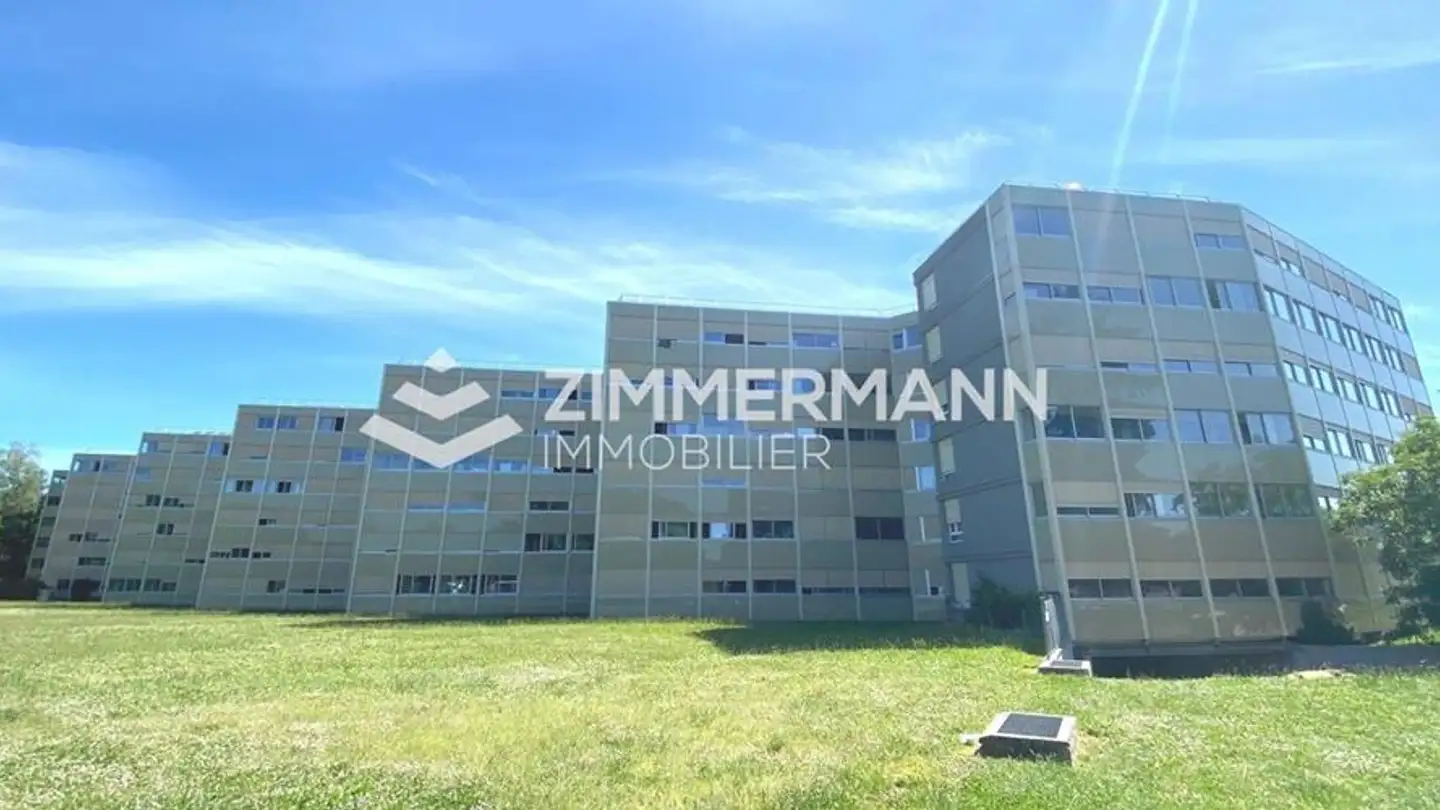 Edificio ad uso misto in affitto - Chemin De Mouille-Galand, 1214 Vernier