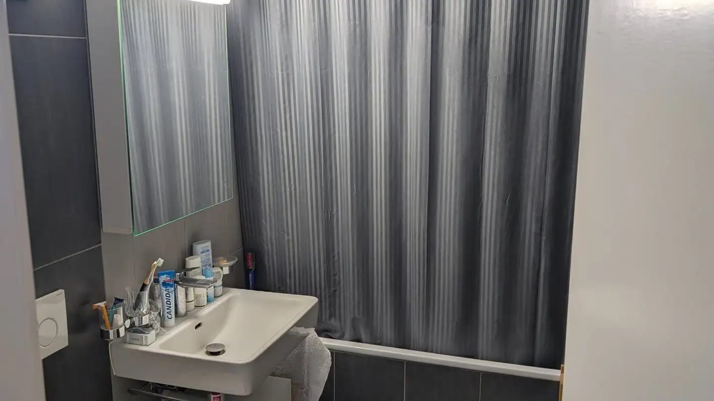 Apartment for rent - Chemin Du Devin 78, 1012 Lausanne - Photo 4