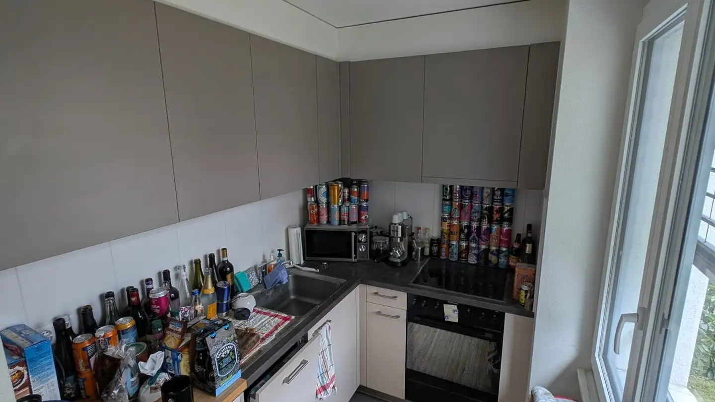 Apartment for rent - Chemin Du Devin 78, 1012 Lausanne - Photo 3